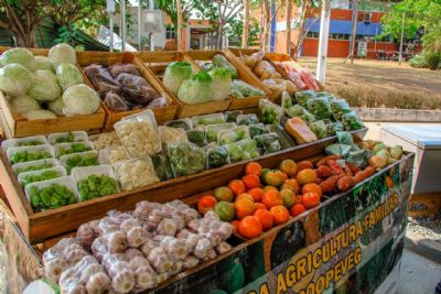Produtores oferecem alimentos frescos e diversificados na 1 Feira da Agricultura Familiar nesta quarta