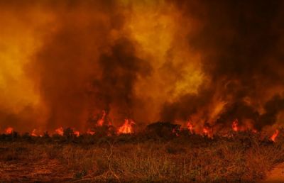 Governos de MT e Federal elaboram plano de combate a incndios florestais no Pantanal