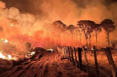 Especialista afirma que chuva de novembro não será suficiente para conter incêndio no Pantanal