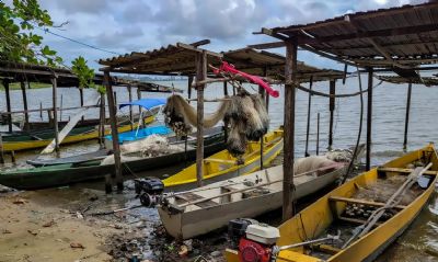 Peixe na água e rede vazia: desastre da Braskem atinge pescadores