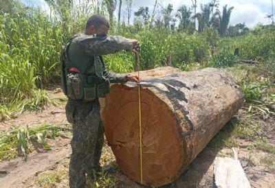 Batalho Ambiental apreende maquinrios, aplica R$ 321 mil em multa e prende homem por explorao ilegal de madeira