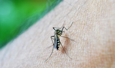 Epidemia de dengue faz Natal decretar emergncia em sade
