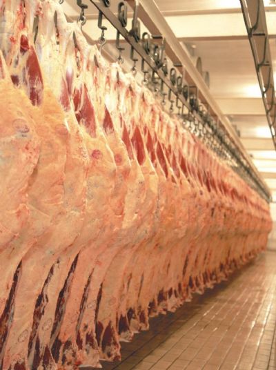Mato Grosso atinge recorde histrico no volume de abate bovinos no 1 trimestre, segundo o Imea
