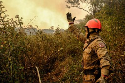 Bombeiros alertam para riscos do uso indevido de tcnicas de combate aos incndios florestais