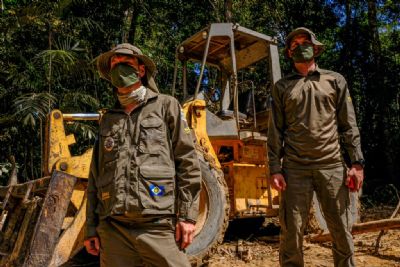 Governo investiu R$180 milhes no combate aos crimes ambientais em Mato Grosso