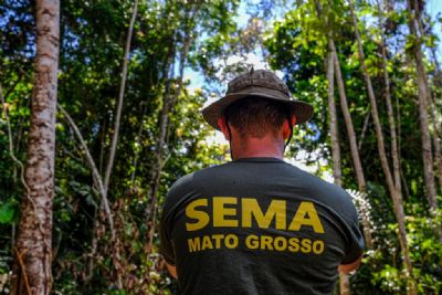 Mato Grosso reduz alertas de desmatamento em junho