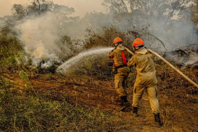 Governo lana plano de combate aos incndios florestais e desmatamento ilegal para 2022