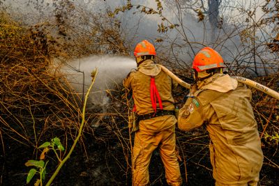 Governo desbloqueia recursos e operao de combate ao incndio no Pantanal  mantida