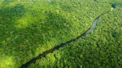 Amaznia: Agricultura cria comit para regularizao fundiria na regio