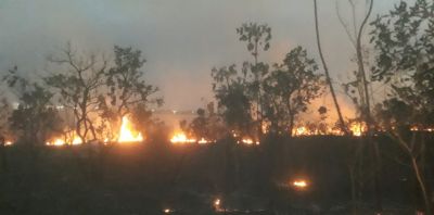 Atuao da Defesa Civil de Cuiab contra queimadas urbanas atinge mais de R$1,3 milho em multas