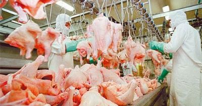 MT cria 800 empregos com a exportao de carne  China