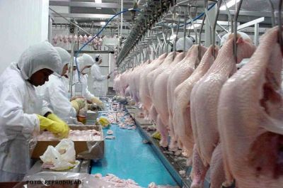 Brasil lidera ranking mundial de exportao de carne de frango pelo 18 ano consecutivo