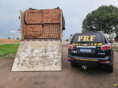 PRF apreende 456m de madeira ilegal durante operao em Mato Grosso