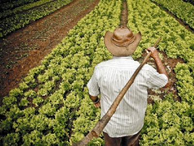 Audincia pblica debater incentivos  agricultura familiar em Cuiab