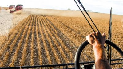 Imea: colheita do milho safrinha 2018/19 em MT alcana 93,9% da rea plantada