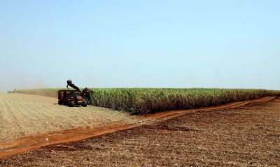 Governo lana plano de promoo da agricultura de baixo carbono