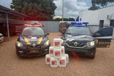 Polcia apreende 400 litros de defensivos agrcolas contrabandeados