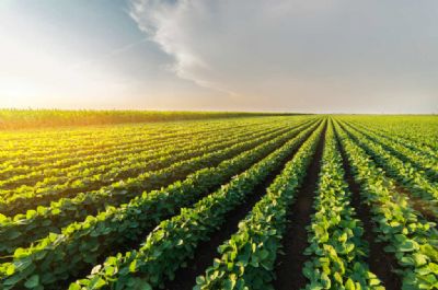 Produtividade da agropecuria cresce 3,36% ao ano