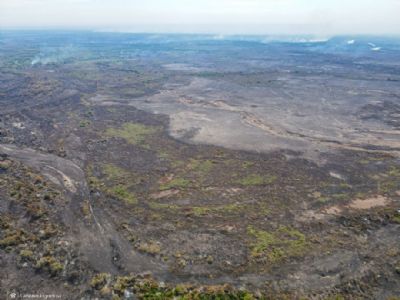 Com mais de 200 mil hectares devastados pelo fogo, Poconé decreta estado de emergência