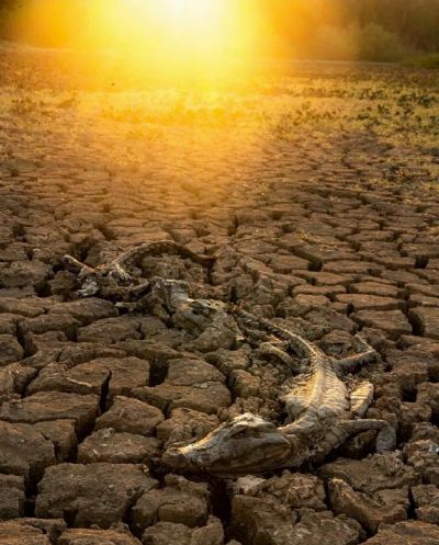 Pantanal pode diminuir com aumento de eventos climticos intensos