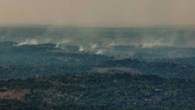 Incndio no Parque do Cristalino pode ter sido causado por aeronave, diz delegado