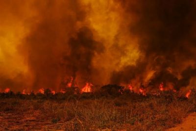 Mato Grosso registra mais de 2 mil focos de calor e 73,5% são na região do Pantanal