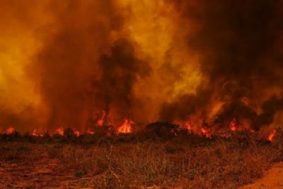 Situao de emergncia em Pocon  homologada aps incndios no Pantanal