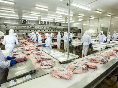 Frigorficos alerta risco de no ter gado para abate em 2021