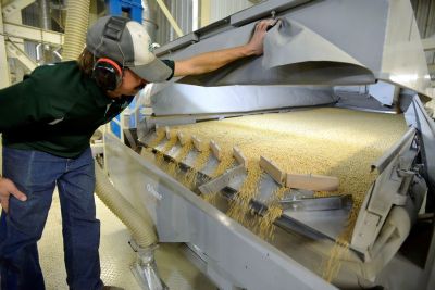 MT registra novo recorde em processamento de soja