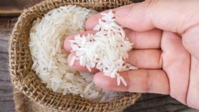 Entenda por que o arroz continua custando caro