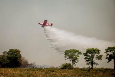 Governo de MT aciona Ministrio do Meio Ambiente para reforar aes de combate a incndio no Parque Nacional do Pantanal