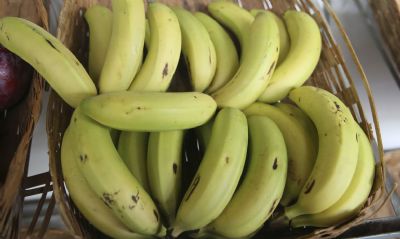 Conab: preos da ma, banana e melancia tm forte alta em dezembro
