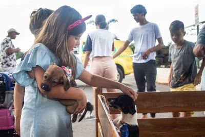 Feira de Adoo Voluntria de Pets tem recorde de adoes em uma hora de evento