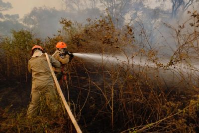 MT tem 30 dias para apresentar ao STF o plano de preveno de queimadas no Pantanal