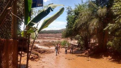 Acordo por barragem de Brumadinho prev 'fbrica de mosquitos' para combater dengue