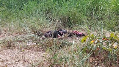 Vdeo | Corpo parcialmente queimado  encontrado atrs de cemitrio em Cuiab