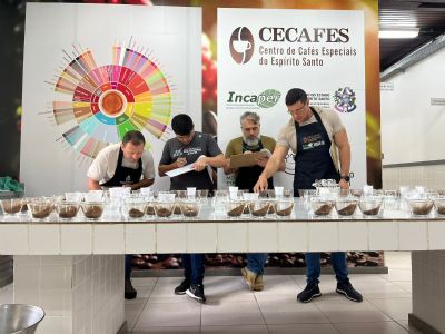 Pesquisa identifica os melhores clones de caf para produo em Mato Grosso