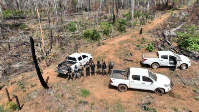 Operao de combate ao desmatamento ilegal apreende um trator e duas motosserras