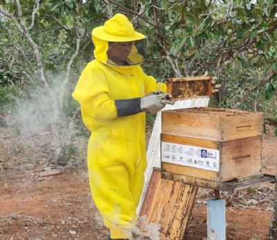 Empaer e Seaf fomentam produo de mel na agricultura familiar em Chapada dos Guimares