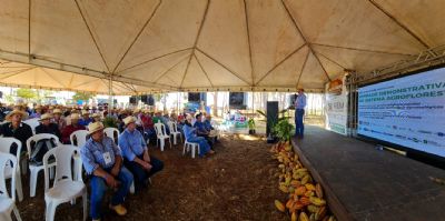 Projeto referncia em sistema agroflorestal  apresentado a produtores familiares de Aripuan e regio