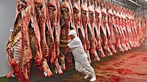 MT registra maior faturamento do ano em exportao de carne no ms de junho