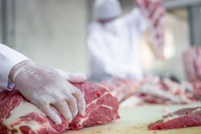 Mato Grosso encerra 2020 com aumento de produo e exportao de carne