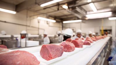 Projeto do governo prev elevar tributo da carne bovina em R$ 128,8 milhes a mais