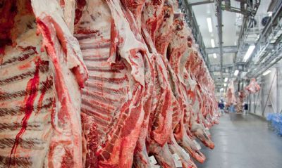 Exportao da carne bovina de MT recua 56% em outubro