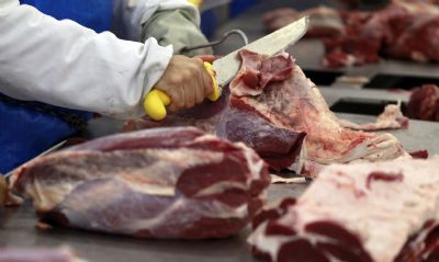 Exportao de carne do Brasil aumenta 12% no ano at agosto
