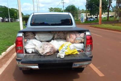 Motorista de caminhonete  preso com quase uma tonelada de pescado ilegal