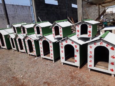 Presos fabricam 'casinhas pets' de madeira para doar s instituies e famlias carentes