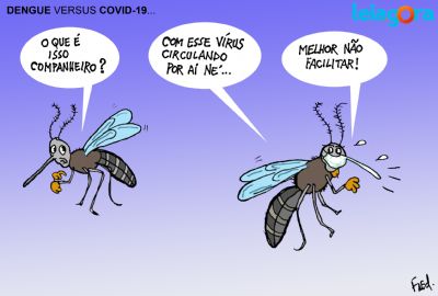 Dengue x Covid-19