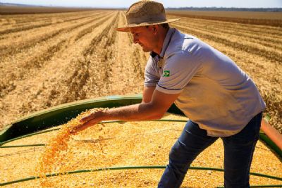 MT lidera produo agropecuria brasileira por 4 anos consecutivos