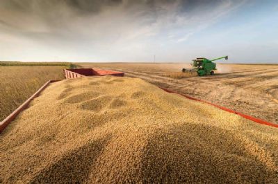 ​Colheita de soja 2023/2024 atinge 4,7% da rea no Brasil, informa Conab